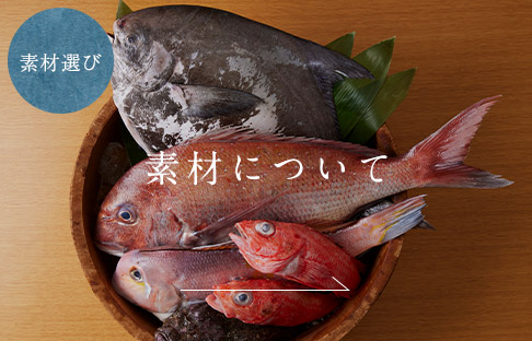 魚素材
