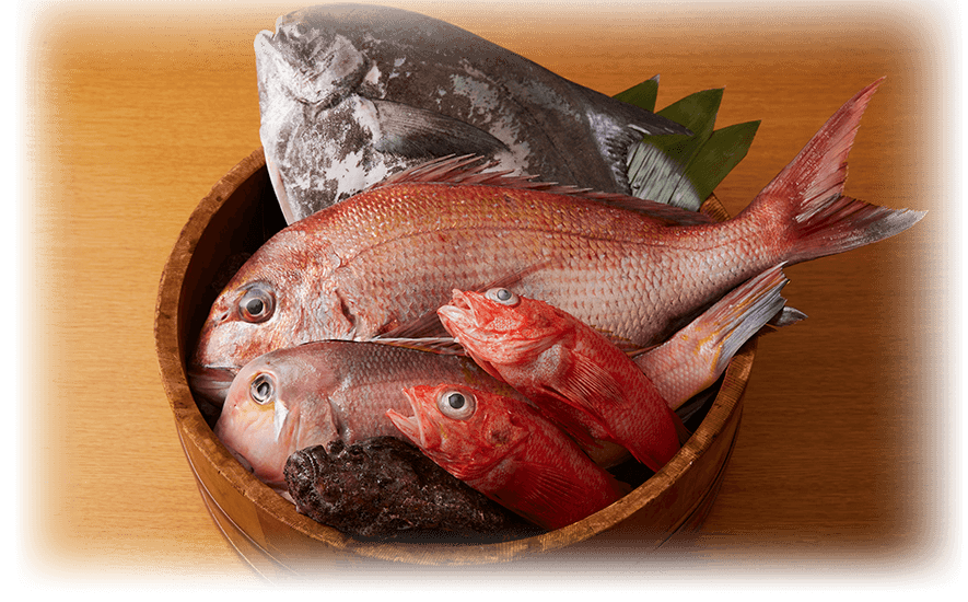 鮮魚素材