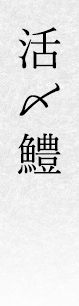 活〆鱧