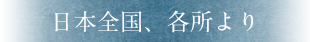 鯛