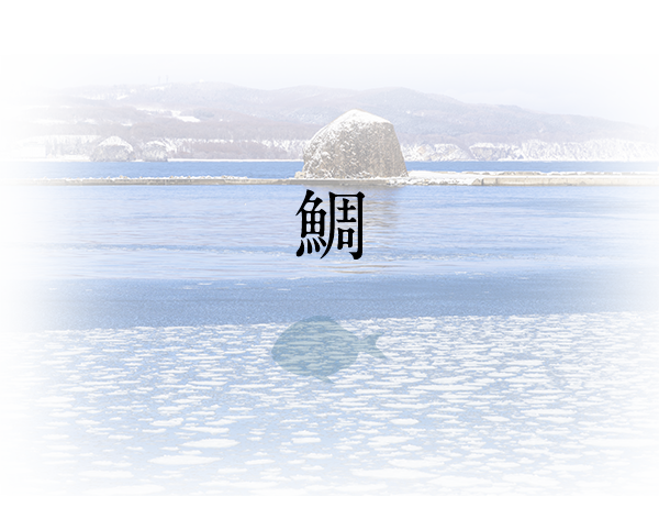 鯛